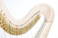 Venera (ext) natural maple 32.jpg