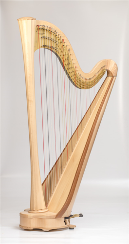 S20G__ext__natural_maple.png